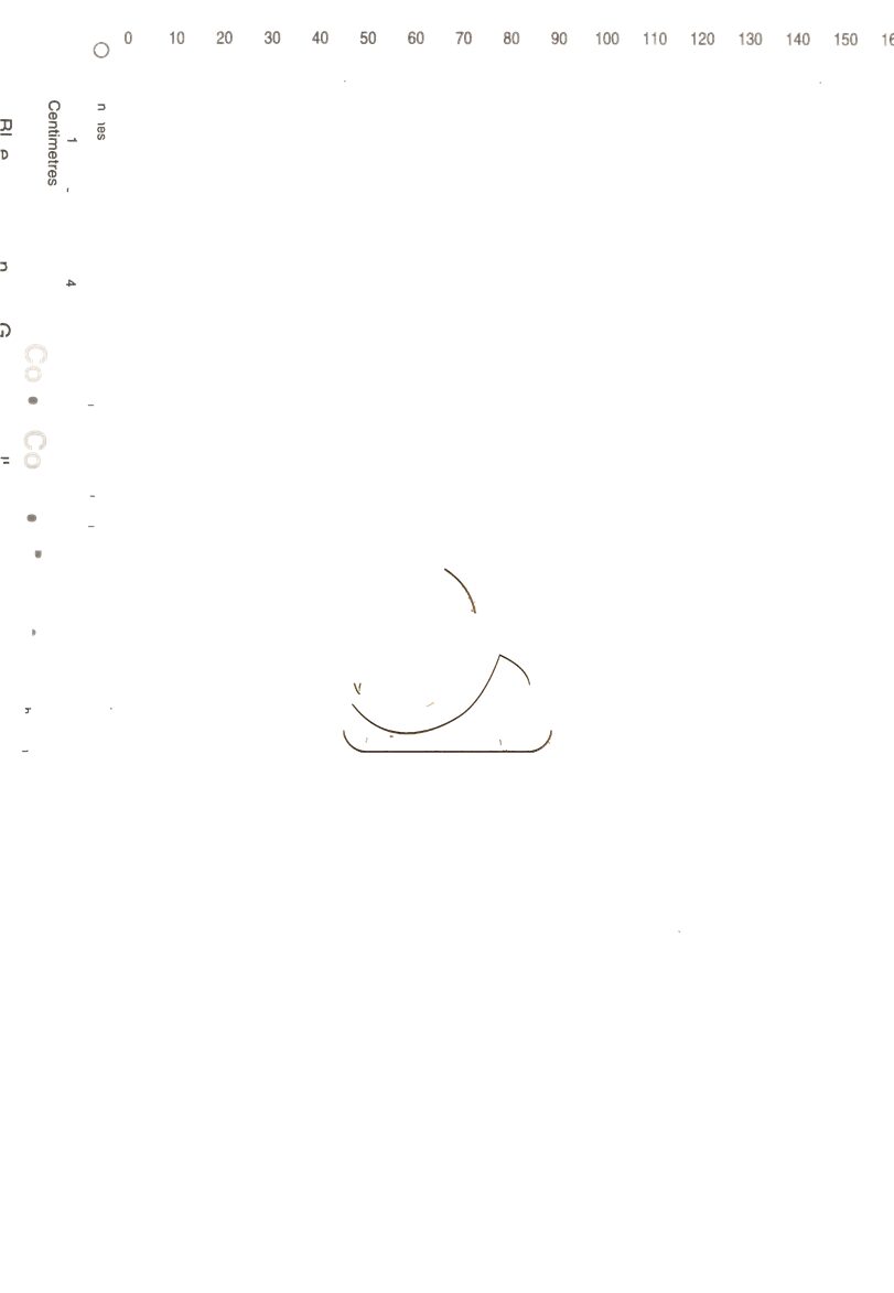 -說文通訓定聲十八卷柬韻一卷古今音準一卷-第八册__