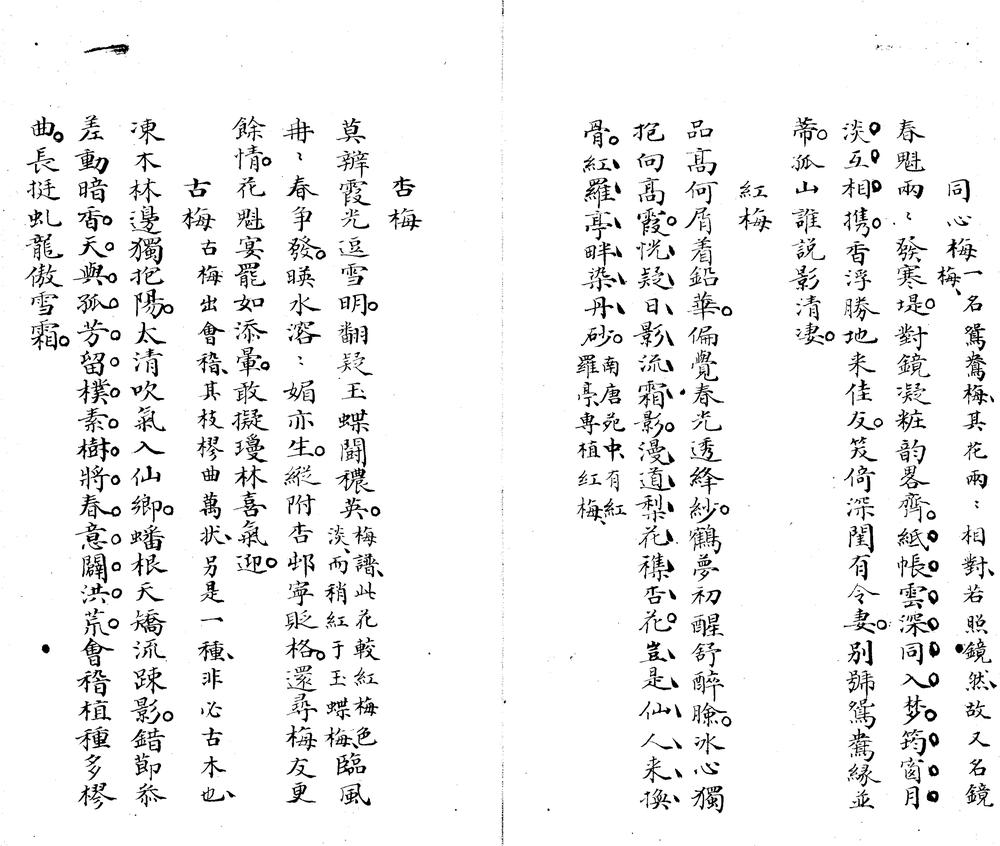 _含清草堂咏花草一卷__