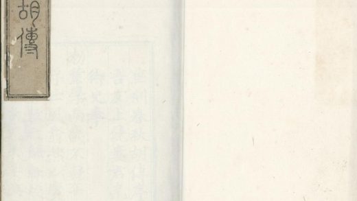 _春秋胡传三十卷_version___