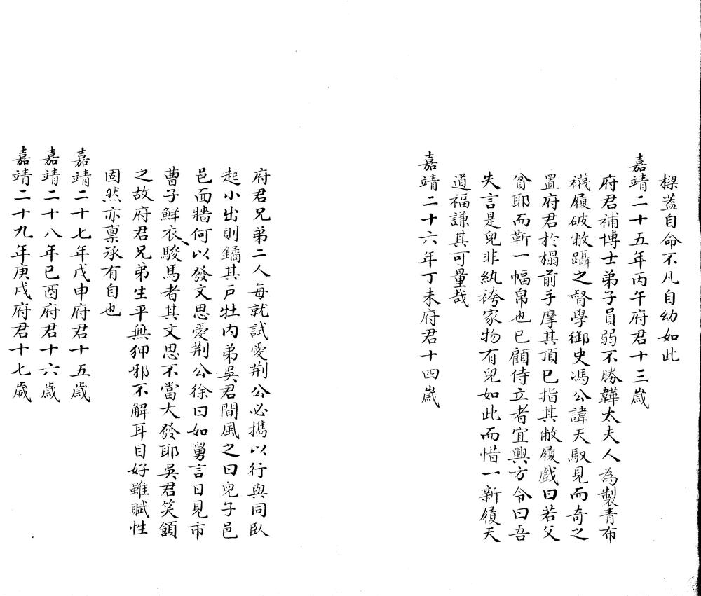 _王文肃公年谱一卷__