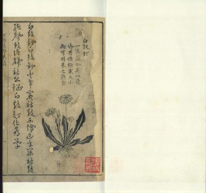 _王西楼野菜谱一卷__