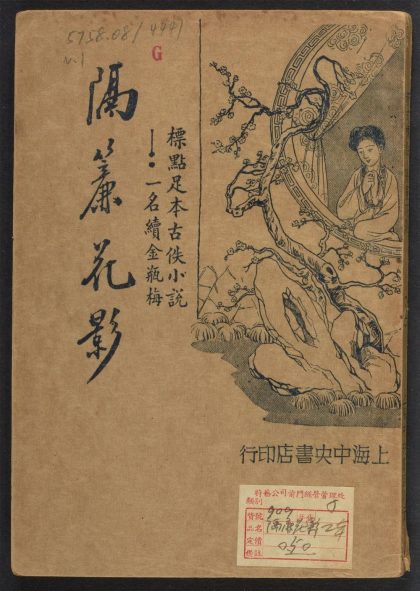 _新式标点真本隔帘花影_v.__