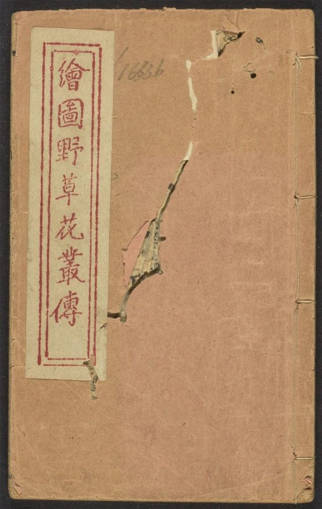 _欢喜奇观_v.__ _欢喜奇观_v.__