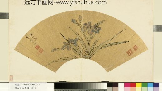 明人便面集锦册-明陈栝鸢尾