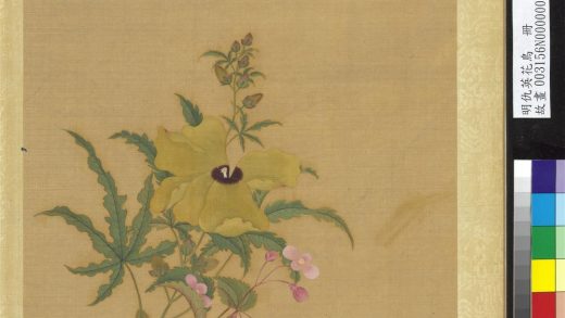 明仇英花鸟册-蜀葵