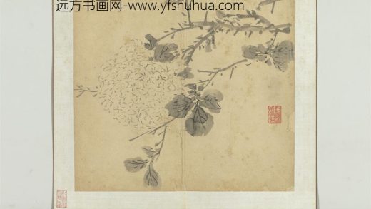 明陈栝四时花卉册-绣球