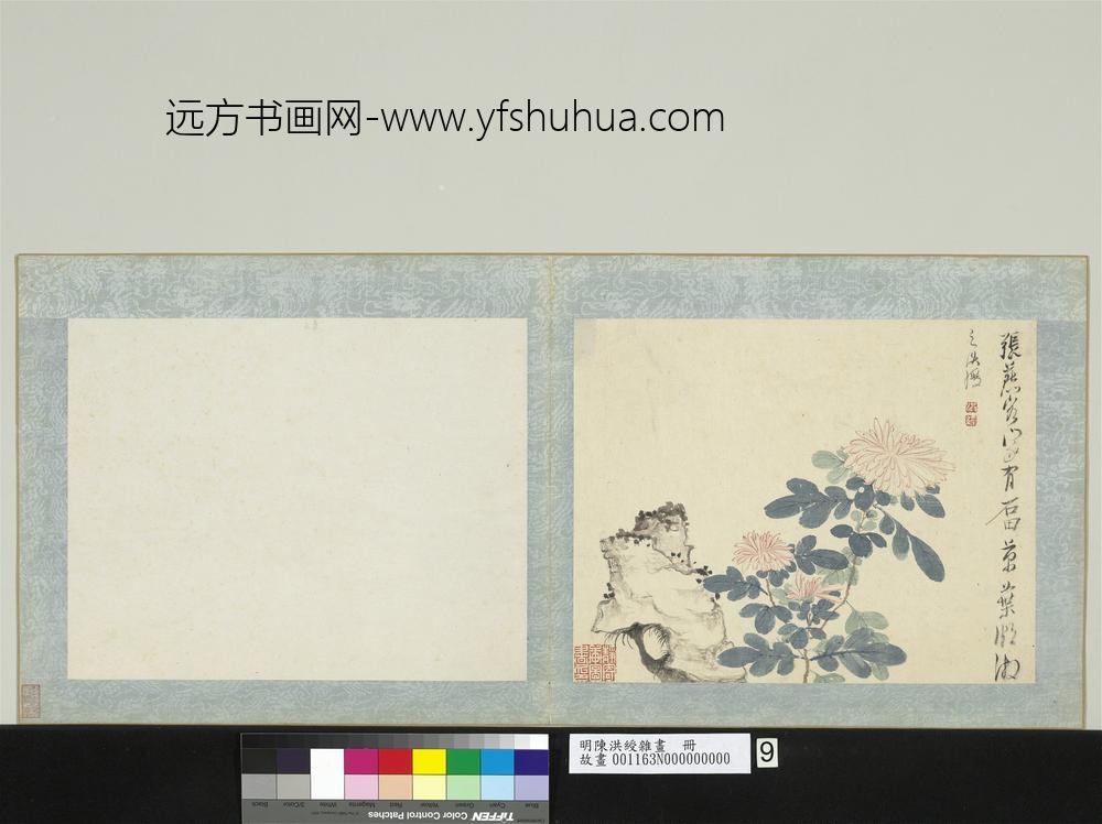 明陈洪绶杂画册-菊花 明陈洪绶杂画册-菊花