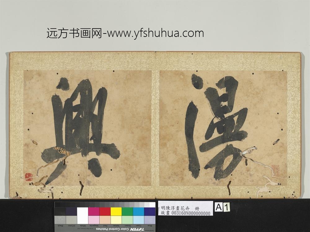 明陈淳画花卉册- 明陈淳画花卉册-