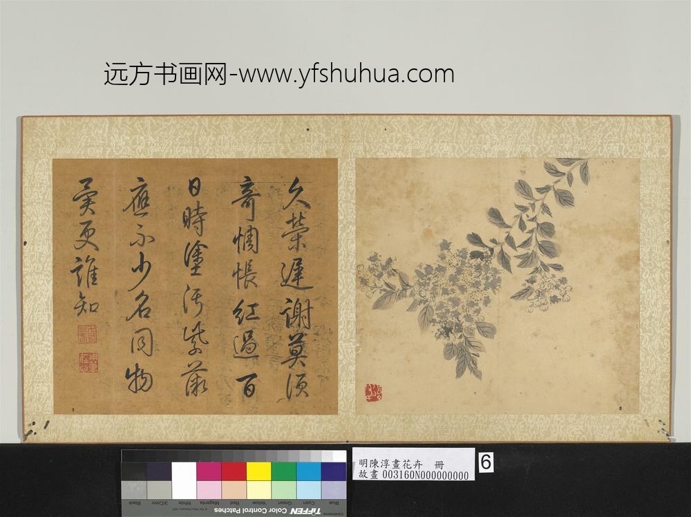 明陈淳画花卉册-紫薇 明陈淳画花卉册-紫薇