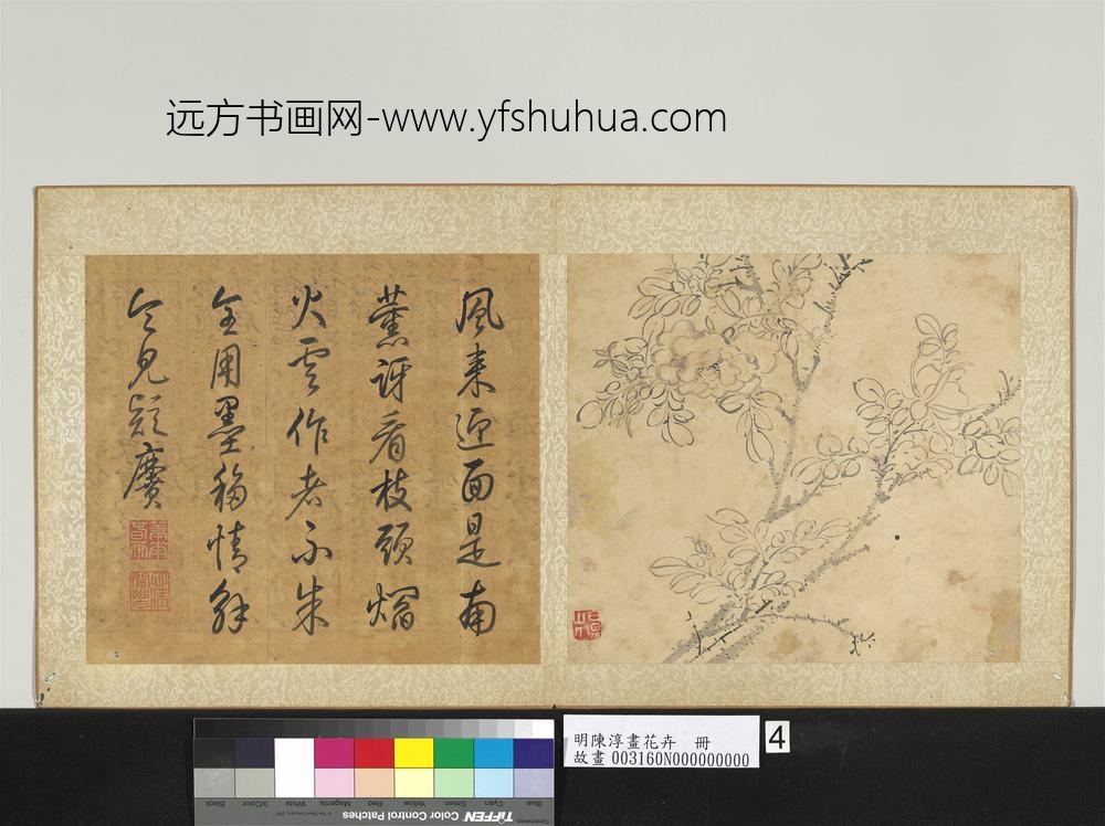 明陈淳画花卉册-蔷薇 明陈淳画花卉册-蔷薇