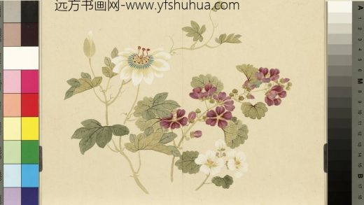 清_董诰四景花卉册（二）册夏景花卉之二