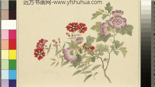 清_董诰四景花卉（三）册秋景花卉之四