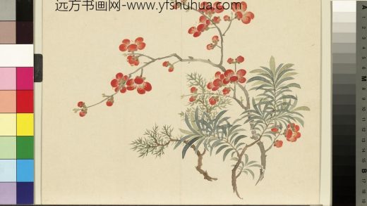 清_董诰四景花卉（四）册冬景花卉之七