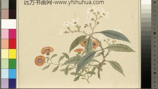 清_董诰四景花卉（四）册冬景花卉之三