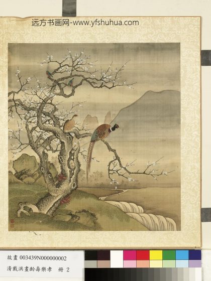 清戴洪画龄寿万年-册-绵雉老梅