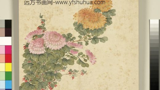 清程琳画四时花卉册-菊