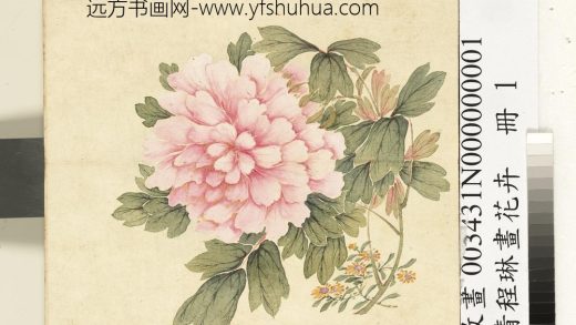 清程琳画花卉册-牡丹