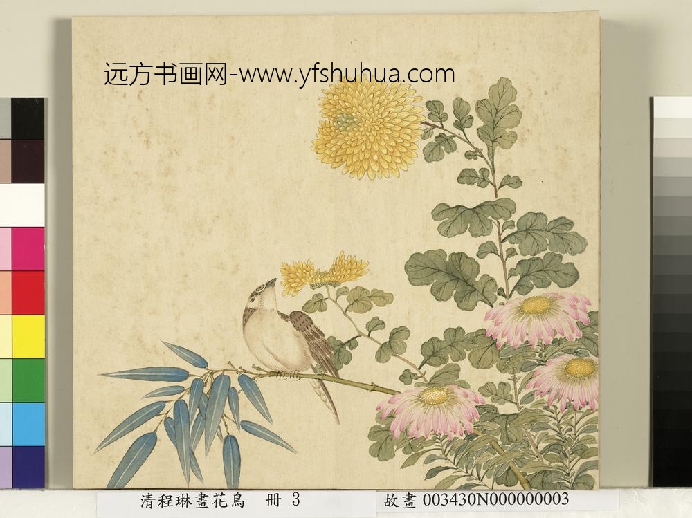 清程琳画花鸟册-竹菊麻雀 清程琳画花鸟册-竹菊麻雀