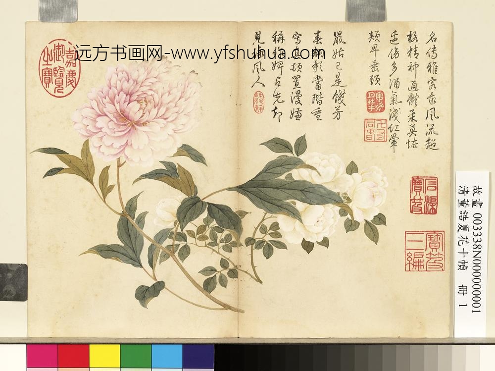 清董诰夏花十帧-册-芍药月季 清董诰夏花十帧-册-芍药月季