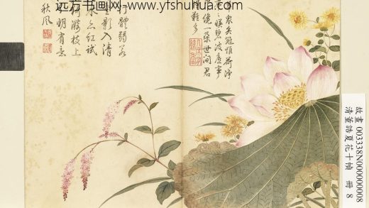 清董诰夏花十帧-册-荷花红蓼