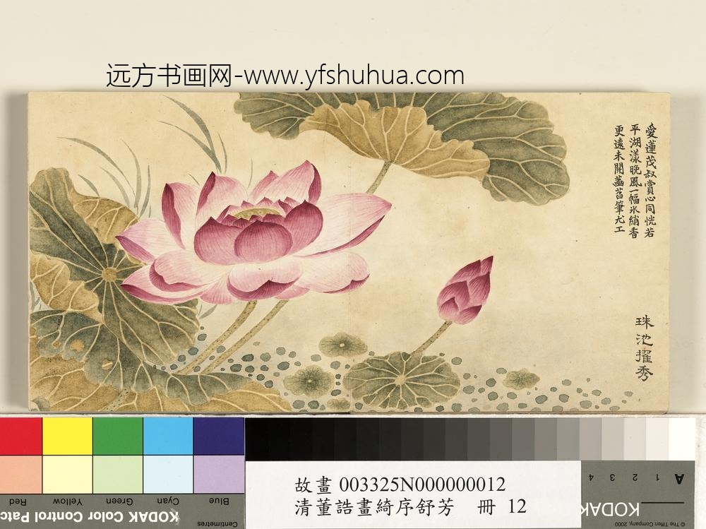 清董诰画绮序舒芳-册-珠池擢秀 清董诰画绮序舒芳-册-珠池擢秀