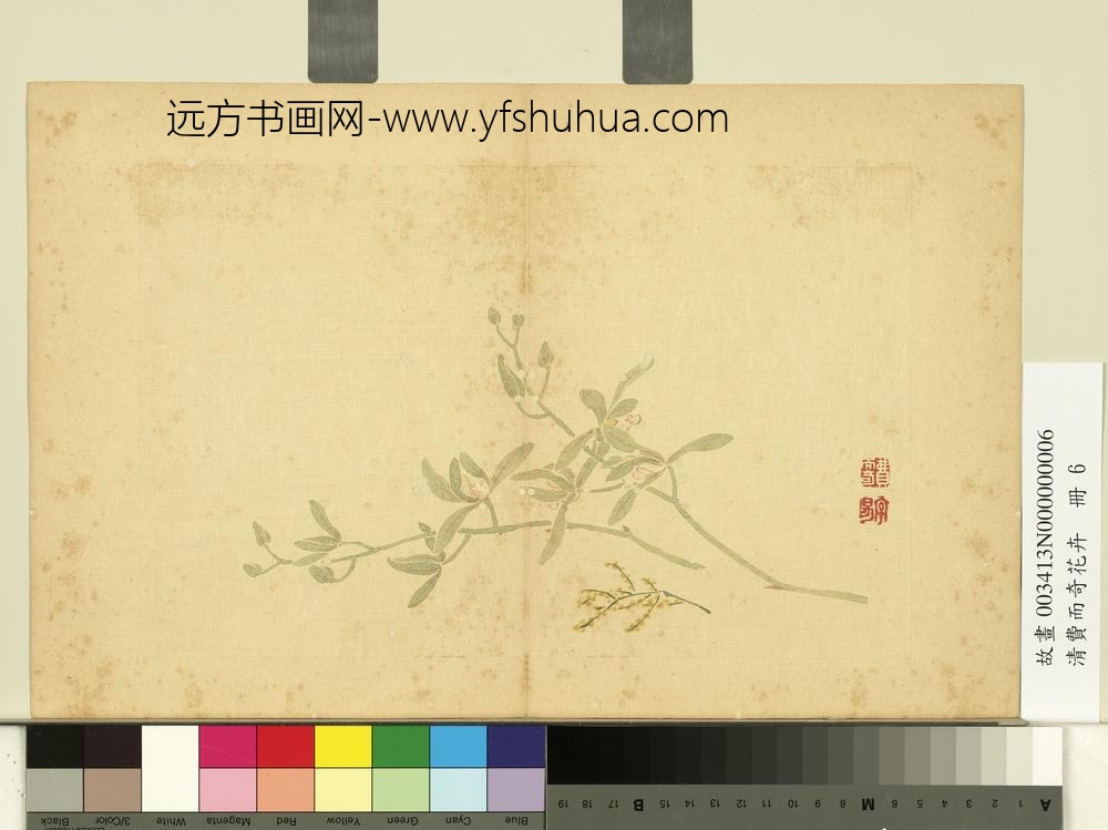 清费而奇花卉册_兰花 清费而奇花卉册_兰花