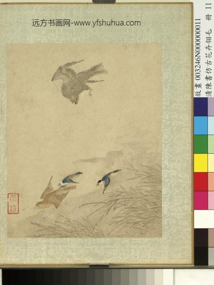 清陈书仿古花卉翎毛册-芦苇翔鹰