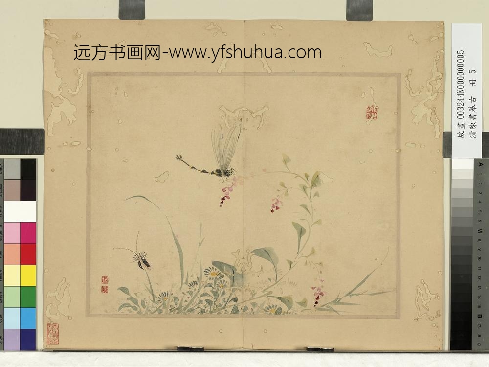 清陈书摹古册-菊花蜻蜓 清陈书摹古册-菊花蜻蜓