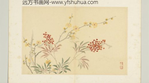 清陈书花卉册-腊梅天竺