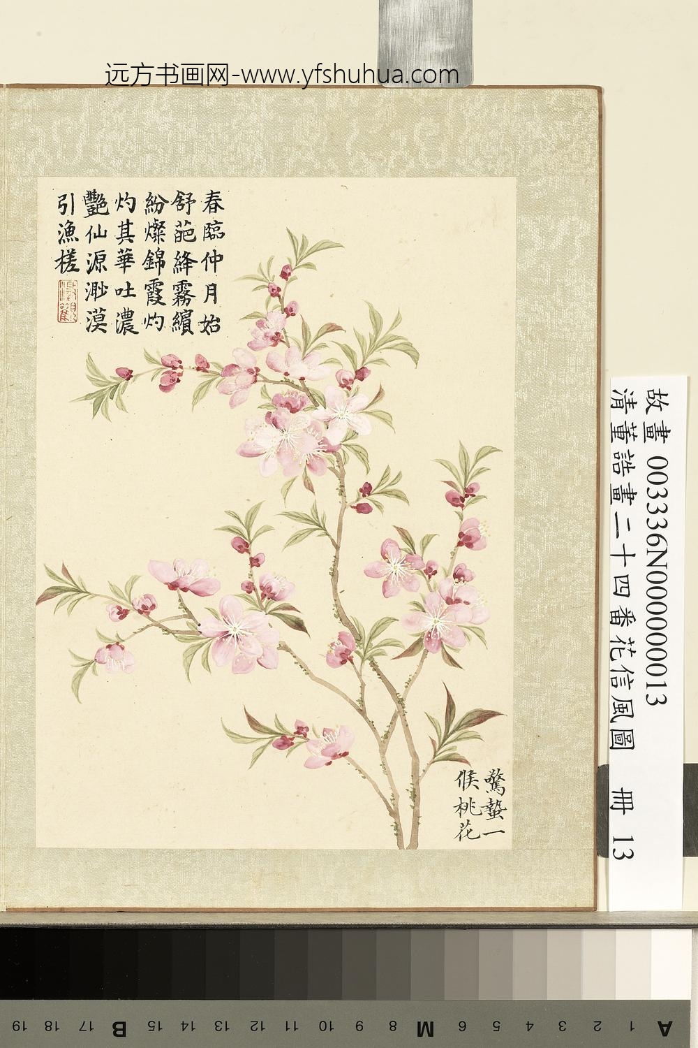 画二十四番花信风图册-惊蛰一候桃花 画二十四番花信风图册-惊蛰一候桃花
