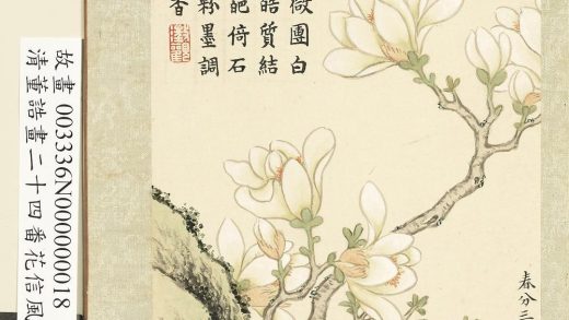 画二十四番花信风图册-春分三候木兰