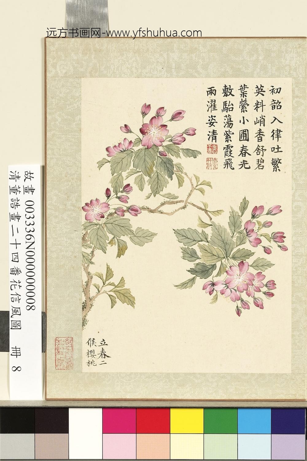 画二十四番花信风图册-立春二候樱桃 画二十四番花信风图册-立春二候樱桃