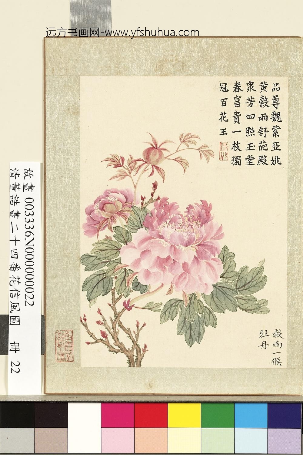 画二十四番花信风图册-谷雨一候牡丹 画二十四番花信风图册-谷雨一候牡丹