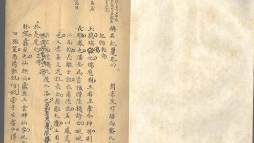 _称茗纪丽囗卷__
