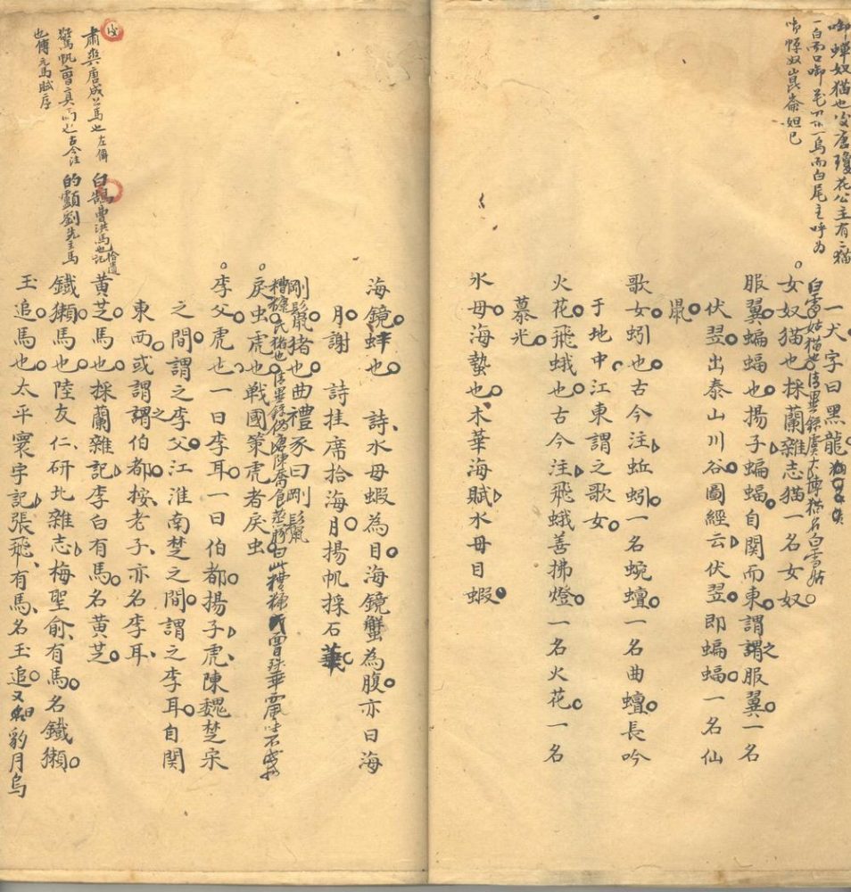 _称茗纪丽囗卷__