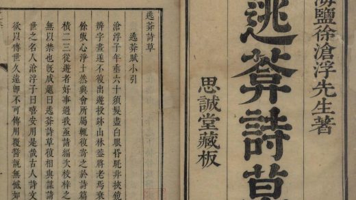 _逃葊诗草十卷__