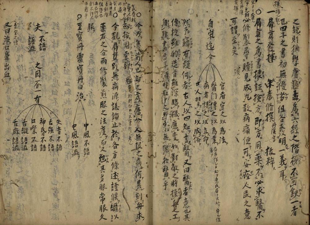 _医学指南篇不分卷__