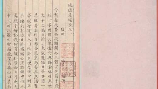 _随隐漫录五卷__