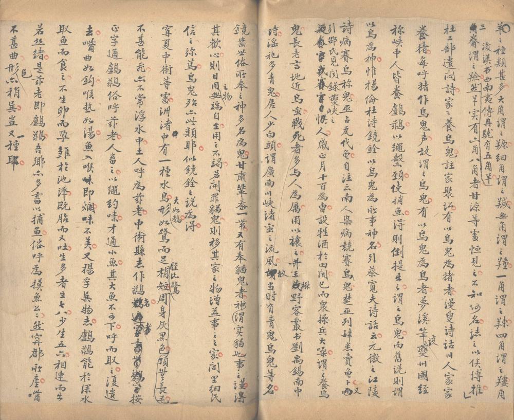 _陇西朴札一卷__