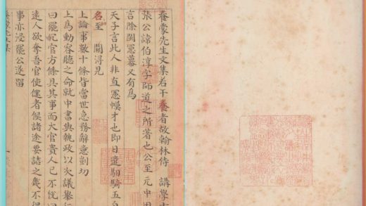_养蒙先生文集十卷_version___