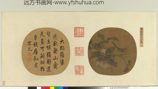 __艺苑藏真（上）册.五代黄筌苹婆山鸟故画__KANPAA