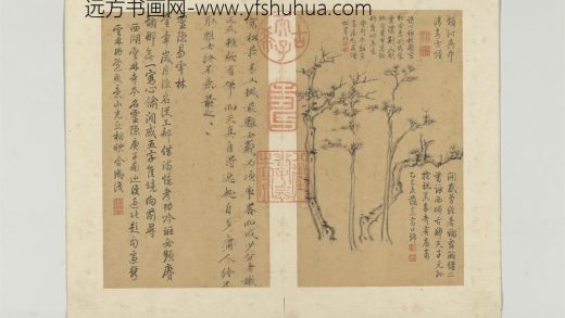 元倪瓒画谱册 松老嫩正反
