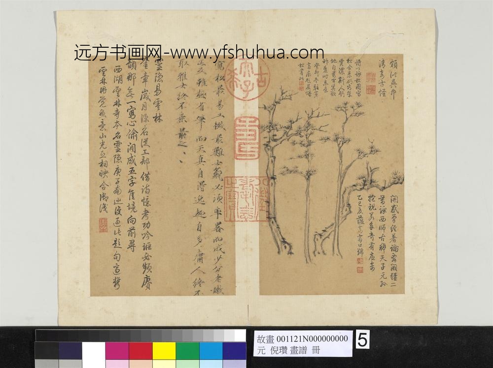 元朝【倪瓒】《画谱册-松老嫩正反》台北故宫博物院高清TIF大图