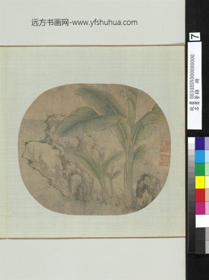 名画荟锦册元柯九思芭蕉奇石