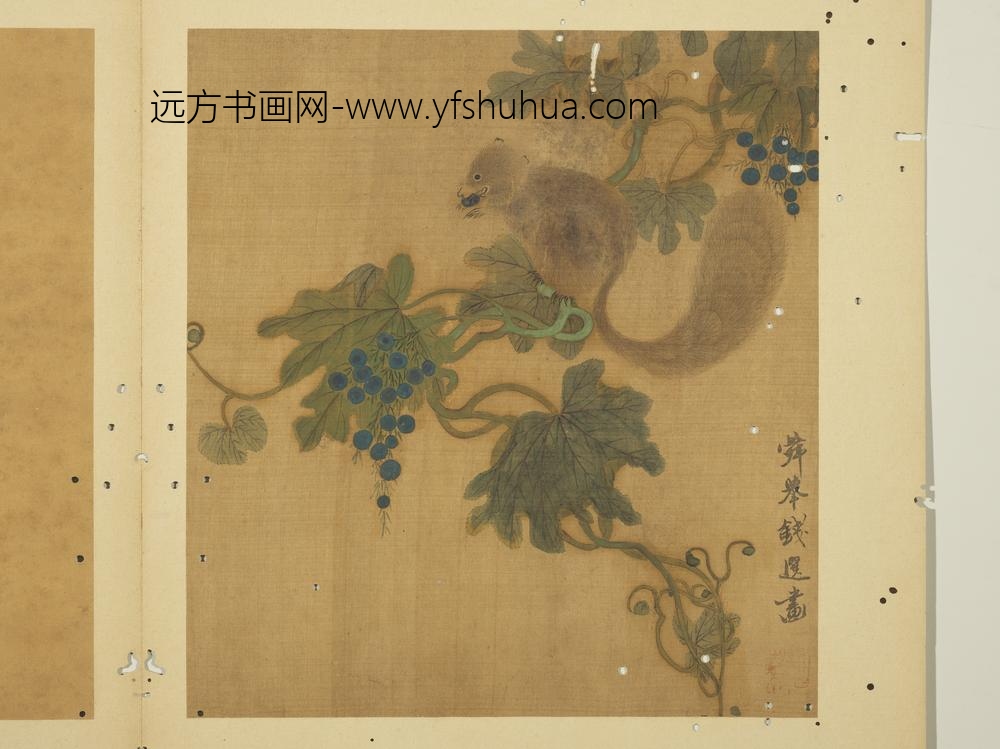 宋钱选写生图册 葡萄松鼠 宋钱选写生图册 葡萄松鼠