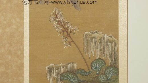 宋钱选写生图册 虎儿草蝶蛾