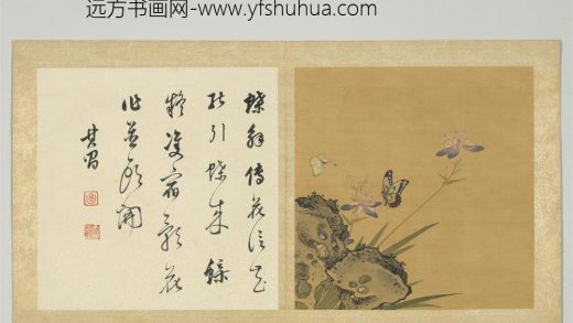 宋钱选摹古花蜨图册 射干