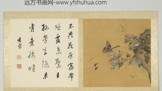 宋钱选摹古花蜨图册 菊