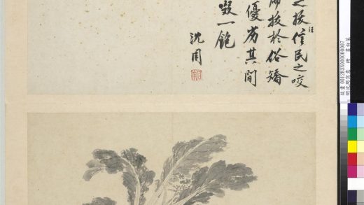 明沈周写意册 画白菜