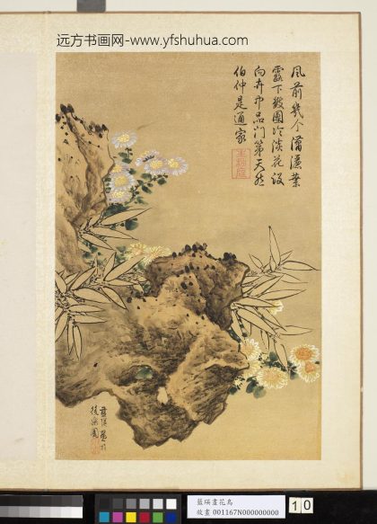 明蓝瑛画花鸟册秋岩竹菊